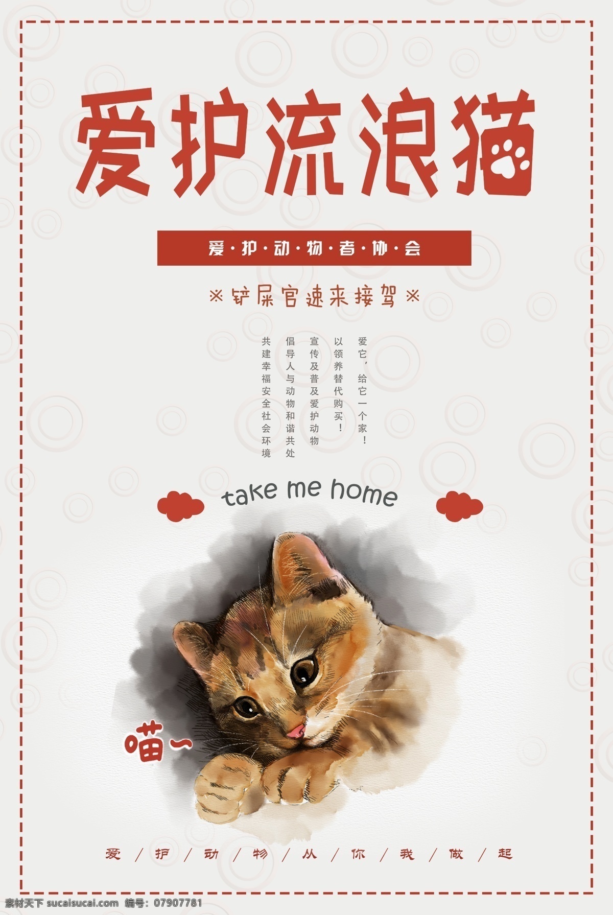 爱护 流浪 猫 公益 流浪猫 猫咪 保护 关爱 公益海报 海报