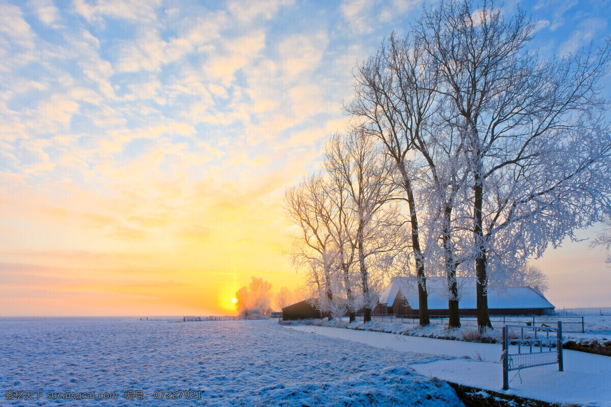 冬天 日出 美景 树木 雪地 风景 自然风光 山水风景 风景图片
