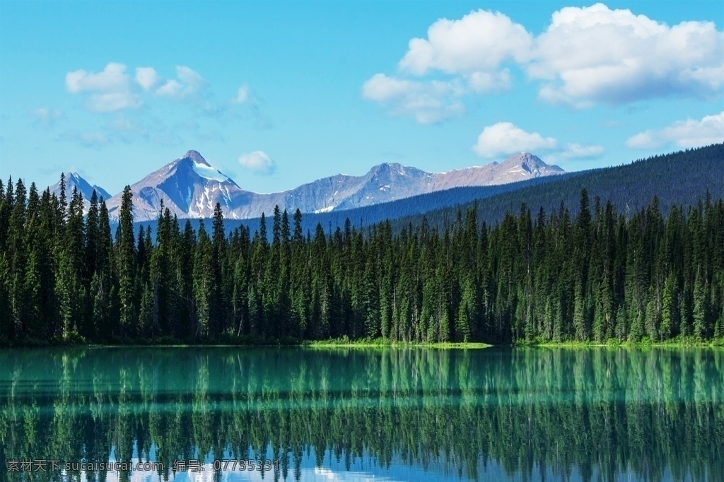 森林風景圖片 自然景觀 森林風景 行道樹 行道樹風景 自然風景 唯美風景 風景 風景圖片 風景壁紙 大自然風景 自然風光 大自然風光 唯美圖片 唯美壁紙 創(chuàng)意圖片 植物 植物圖片 綠色植物 花草樹木 電腦壁紙 美景 美景圖片 美景壁紙 旅游風景 森林 森林景觀 森林植物