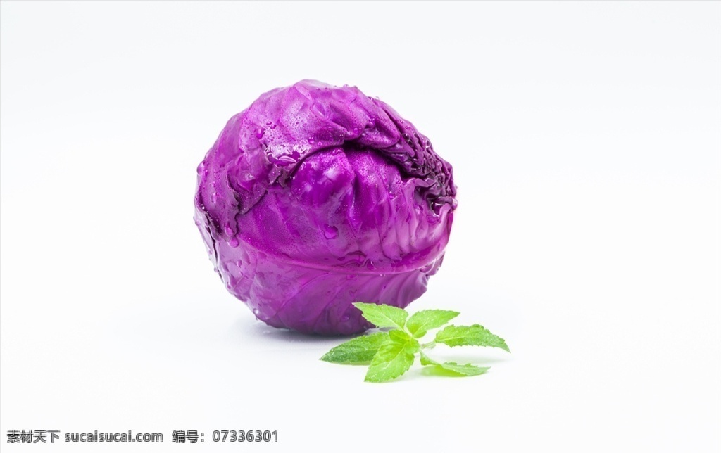 紫包菜 紫甘藍(lán) 紅甘藍(lán) 紫洋白菜 紫茴子白 包菜 蔬菜 食物 食材 餐飲美食 食物原料 食物原料01