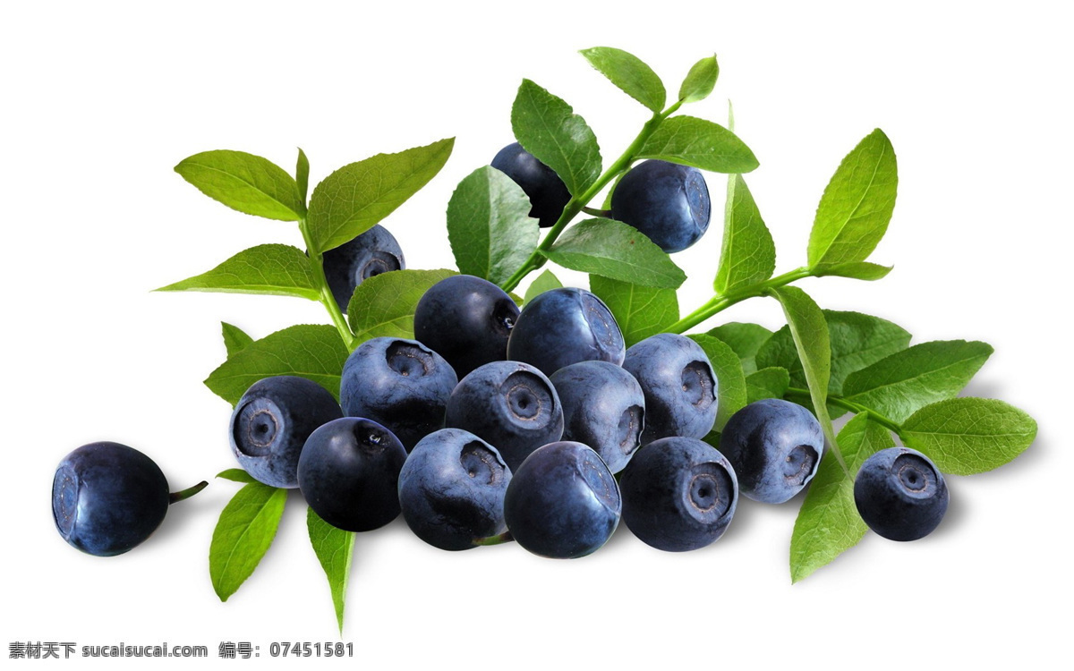 新鲜 水果 蓝莓 唯美 高清 风景 生物世界 花草