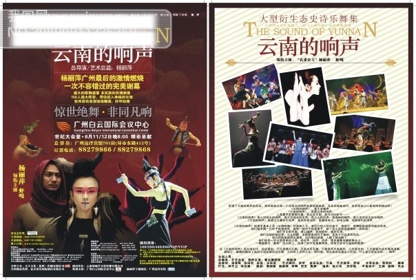 杨丽萍 演唱会 画报 明星 偶像 矢量图 矢量 人物 宣传单 折页 杨丽萍演唱会 海报 其他海报设计