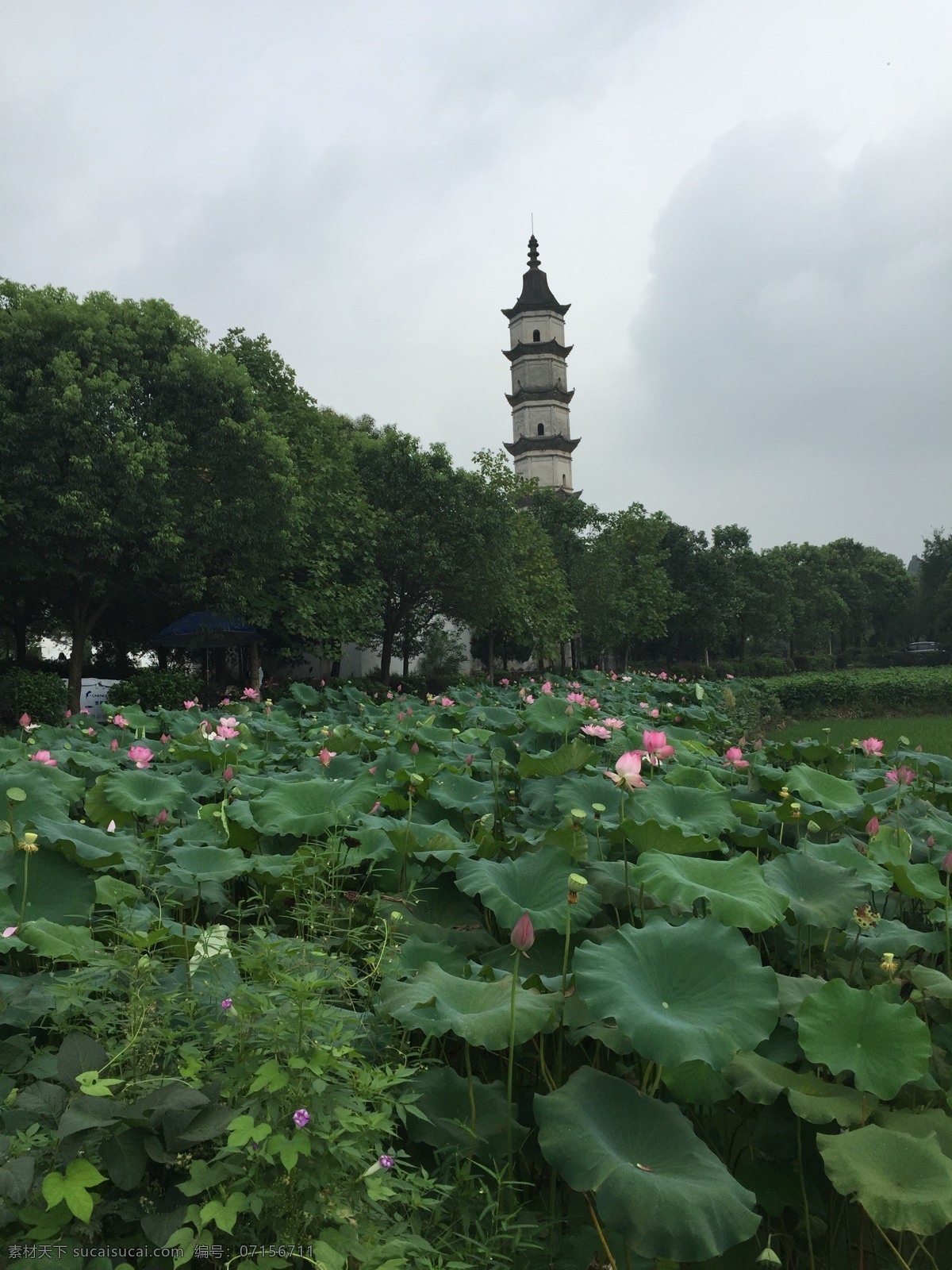 杭州 建德 新葉村 古鎮(zhèn) 村莊 塔 旅游攝影 國內(nèi)旅游