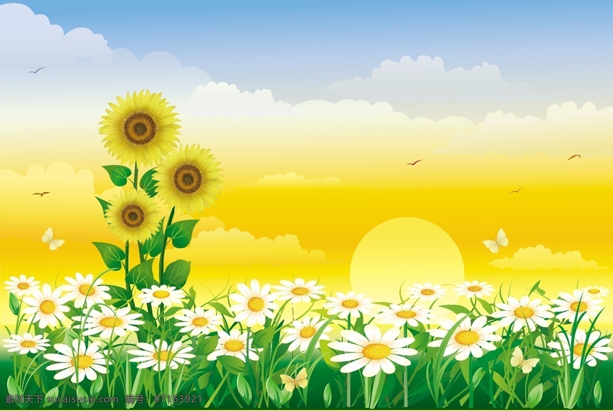 風(fēng)景類 背景 圖 暖色 夕陽 朝陽 自然景觀 自然風(fēng)光