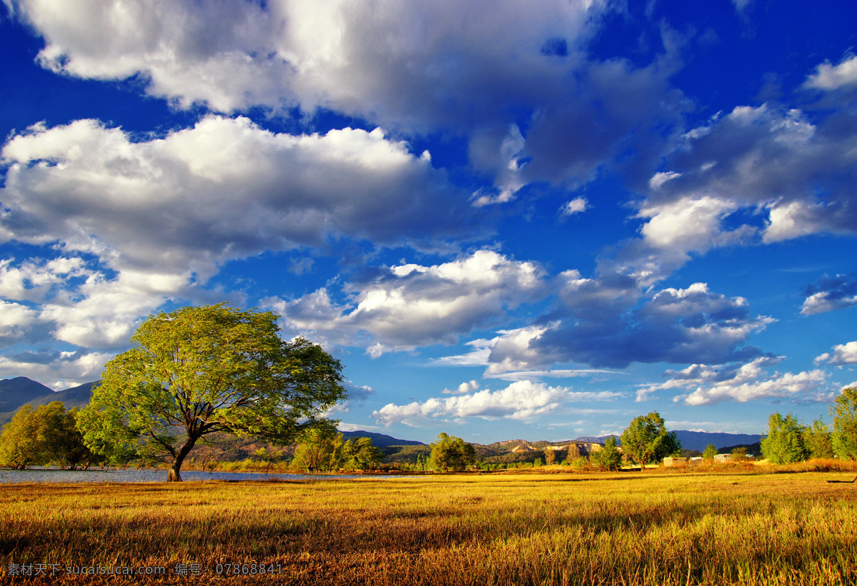 蓝天 下 草原 风光图片 美景 草地 云朵 树木 乡村风采 自然景观 自然风景