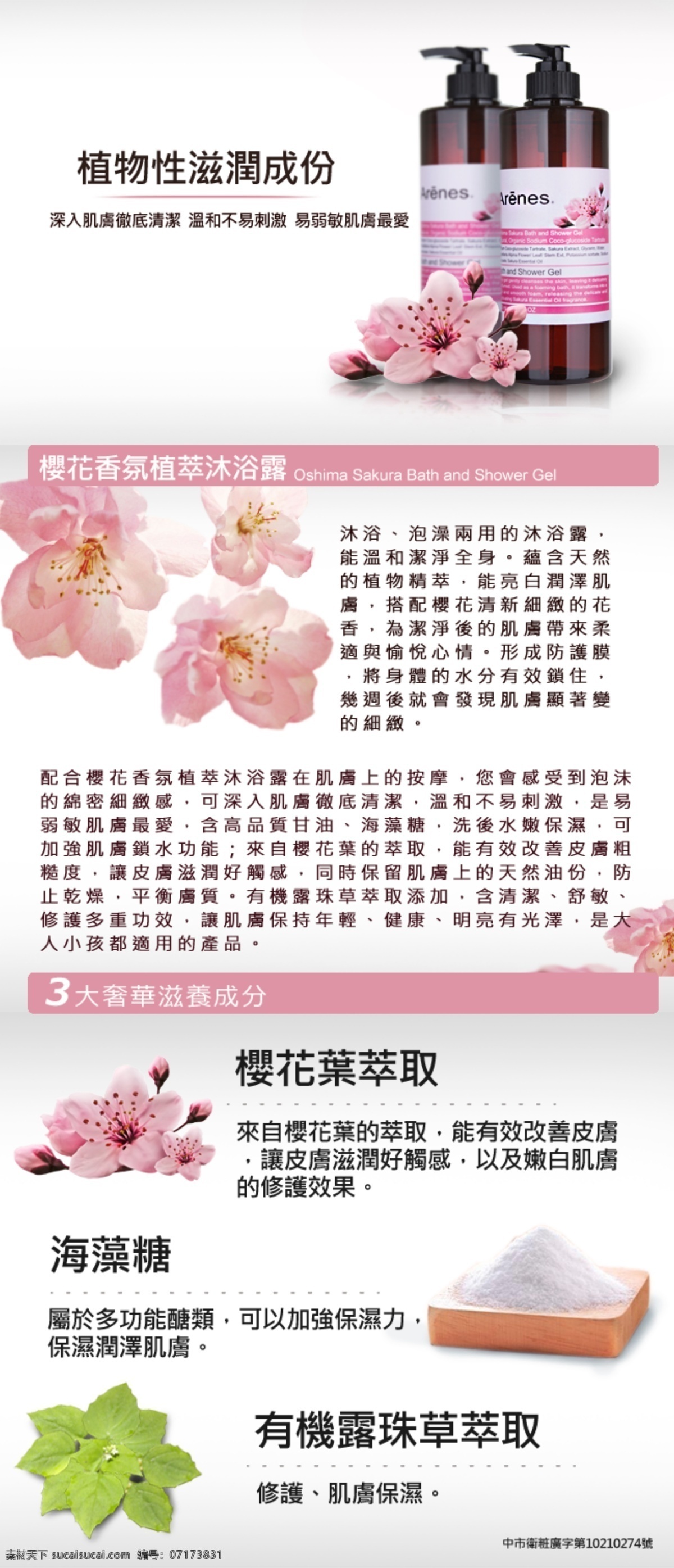 櫻 花 淘寶 促銷 模版 廣告 淘寶模板下載 淘寶素材 網(wǎng)頁模板 夏季 中文模板 海報(bào) 其他淘寶素材
