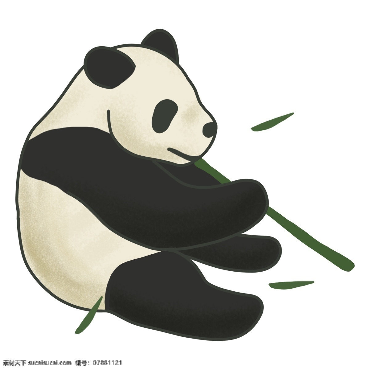 坐 吃 竹子 可爱 胖 熊猫 竹叶 黑色 绿色 米白