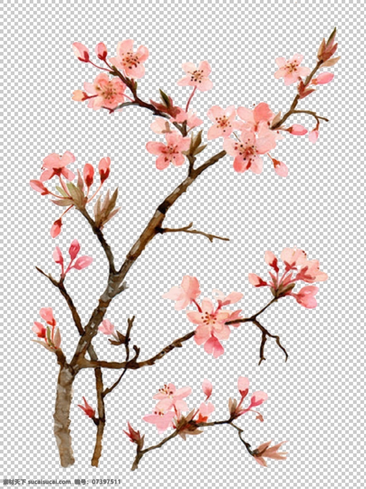 透明 底 梅花 透明底梅花 梅花圖案 桃花 梅花背景 中國風 中國風素材 梅 寒梅 山水畫 水墨畫 水墨畫素材 山水畫素材 臘梅 臘梅背景 花 花素材 中國花 梅花剪影 梅花剪紙 梅蘭竹菊 梅蘭竹菊素材 梅花字畫 水墨素材 燈籠 花瓣 透明底 免摳圖 分層圖 分層 風景