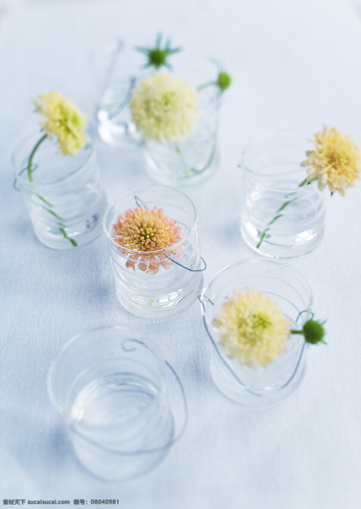 靜物 特寫 杯子 花 花瓶 靜物特寫 生活 室內(nèi) 裝飾 裝飾素材 室內(nèi)裝飾用圖