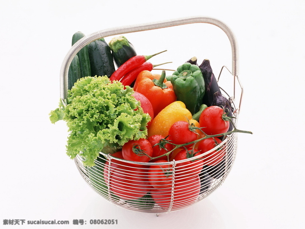 蔬菜 生物世界 設計圖庫