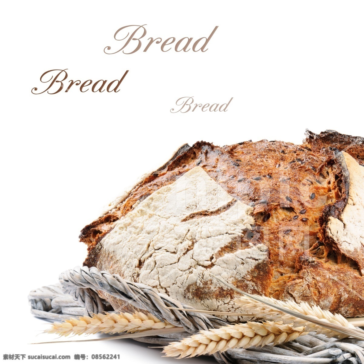面包 高清 美味 丰富图片 丰富 农业背景 烘焙 大麦 黑面包 馒头 切碎 特写 成分 概念 烹饪炊具 玉米作物 切割 食品 餐饮美食
