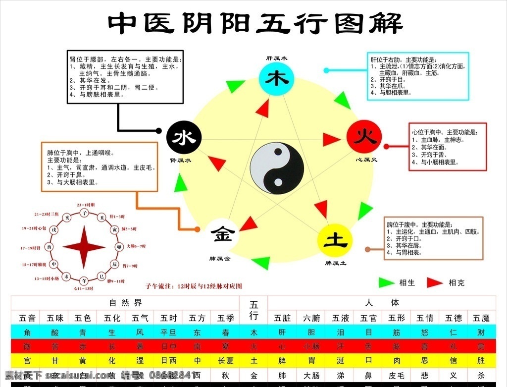 中医 阴阳 五行 图解 金木水火土 五行图 医疗保健 生活百科 矢量