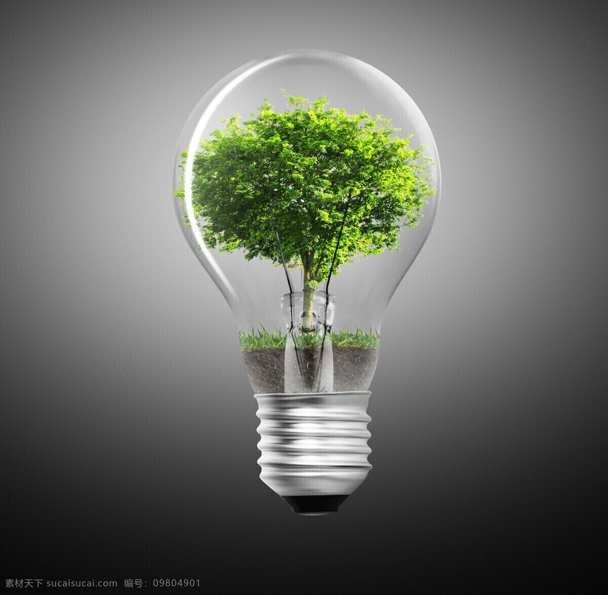 燈泡 里 大樹 植物 草地 電燈 燈泡攝影 電燈素材 家電 電器 生活用品 廣告素材 節(jié)能環(huán)保 家具電器 生活百科