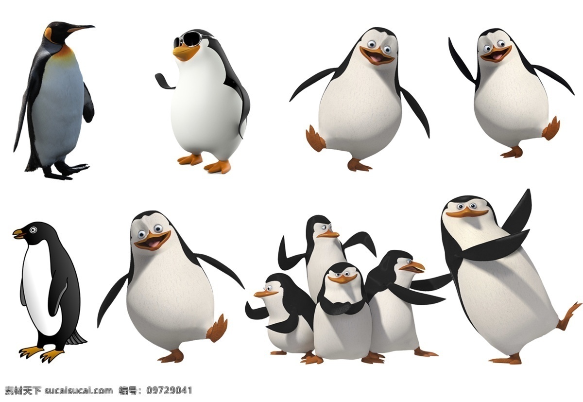 企鹅图片 企鹅 白肚皮 南极 南极动物 卡通动物 大海 海洋生物 生物世界 透明底 免抠图 分层图 分层 动物透明底