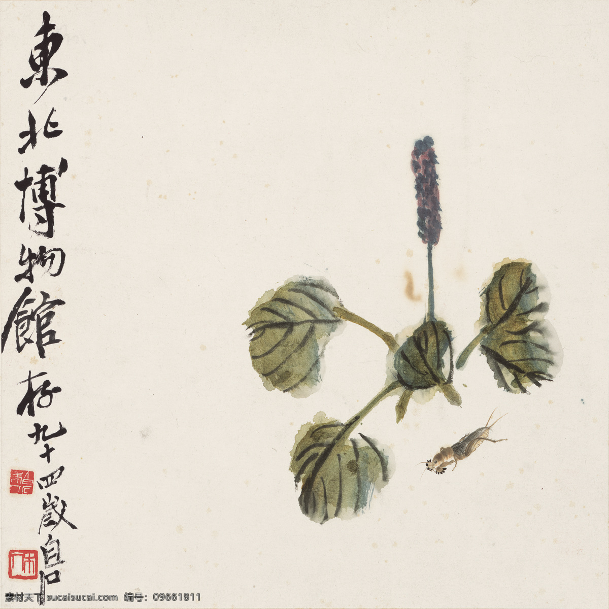 齊白石 國畫 螻蛄 紅 蓼 圖 螻蛄紅蓼圖 昆蟲寫意 蚱蜢國畫 寫意國畫 工筆國畫 植物國畫 葉子國畫 白石老人 純芝 渭青 蘭亭 名璜 瀕生 老萍 餓叟 借山吟館主者 寄萍堂上老人 三百石印富翁 現(xiàn)代中國 繪畫大師 世界文化名人 名畫 寫意 工筆 潑墨 飛白 宣紙 花鳥 蟲魚 山水 人物 魚蝦蟲蟹 天趣橫生 g國畫 文化藝術(shù) 美術(shù)繪畫