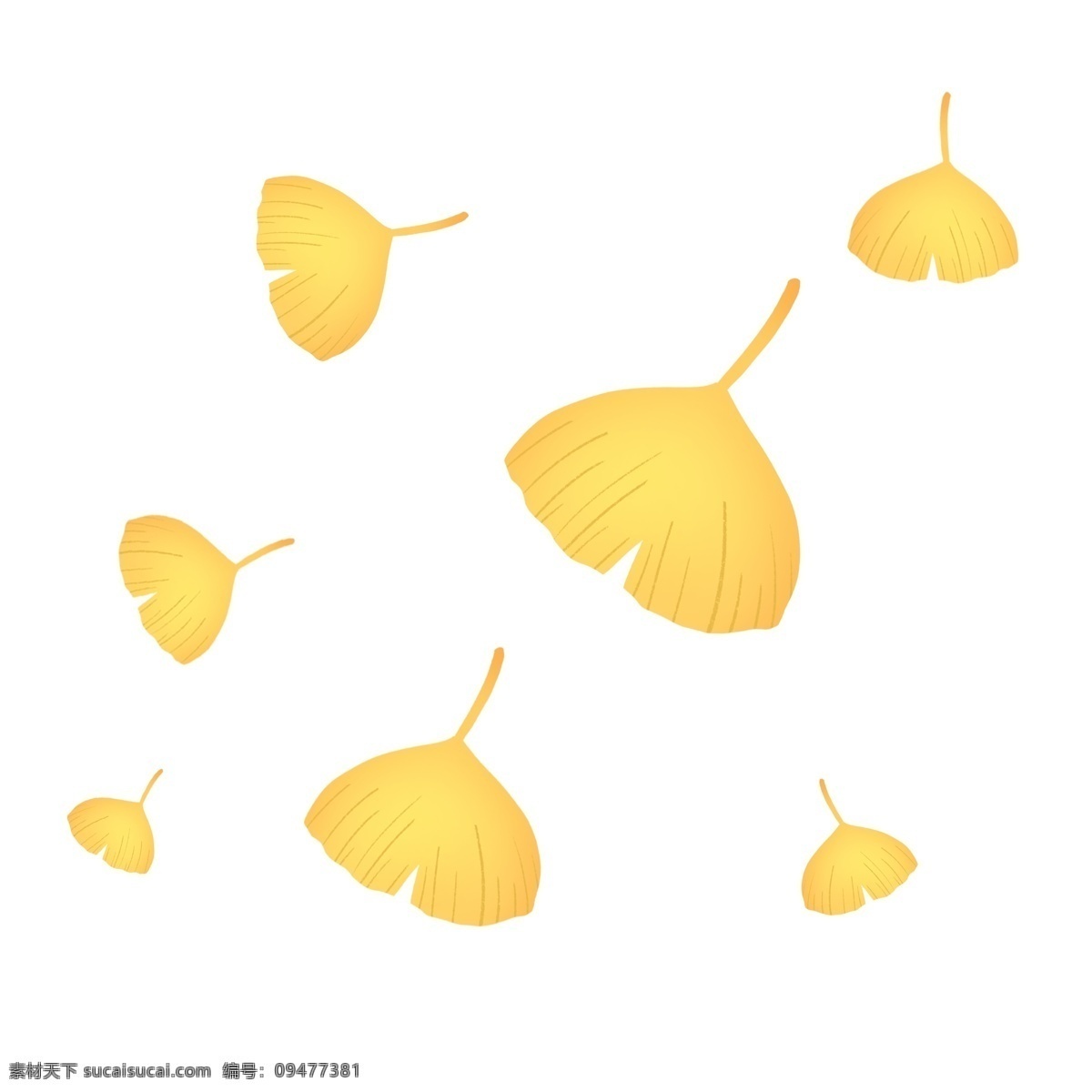 金色 秋天 浪漫 飘舞 银杏叶 叶子 树叶 金色叶子 黄色 黄色叶子 秋季 落叶 飘落