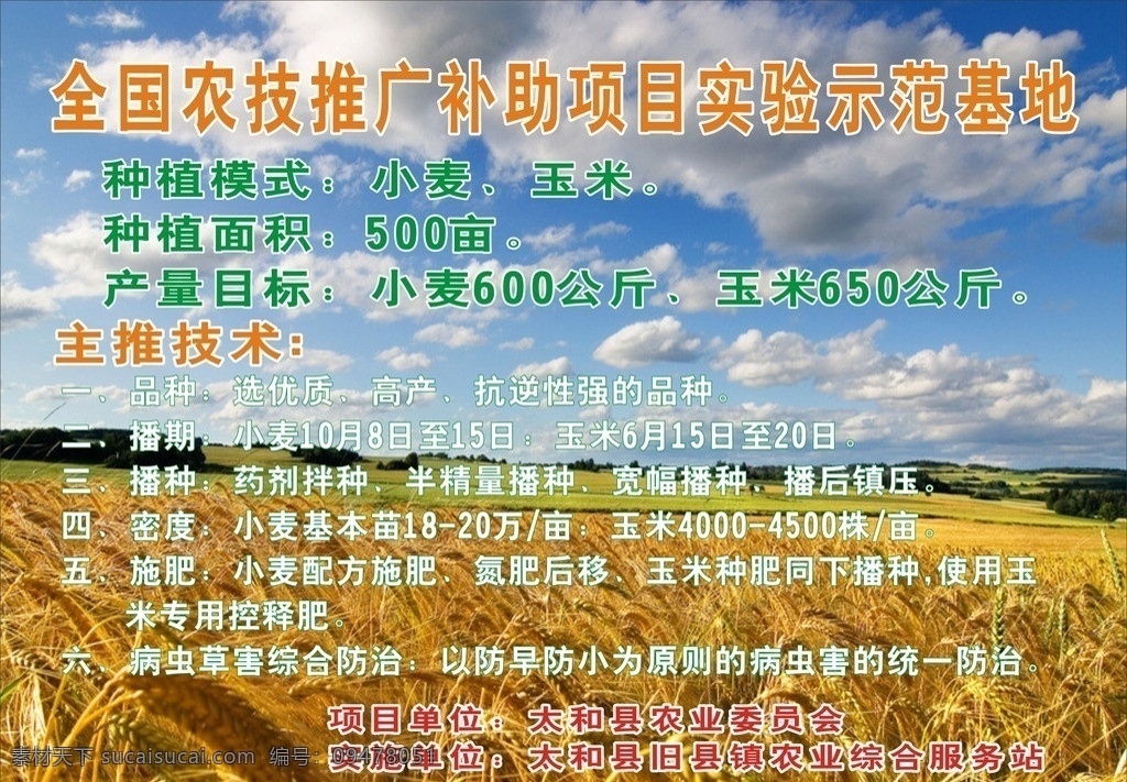 試驗(yàn)田 示范基地 農(nóng)技推廣 小麥 玉米 矢量