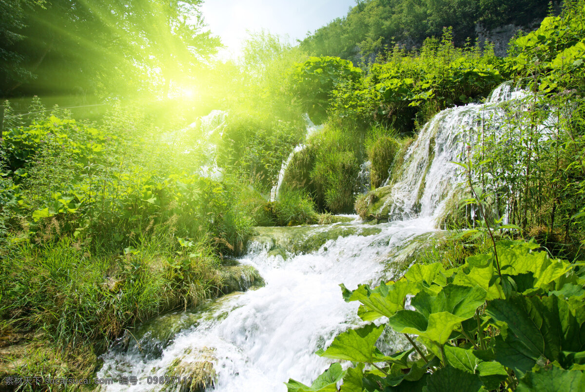 大自然風(fēng)景 大自然 自然風(fēng)光 風(fēng)景 山水 草 陽光 小溪 河澗 流水 樹木 植被 高清圖片 自然風(fēng)景 山水景觀 自然景觀