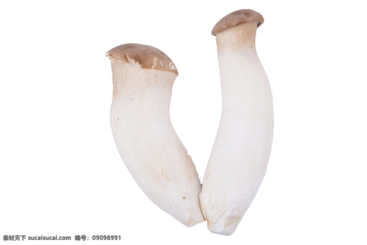新鮮 美味可口 蘑菇 美味 可口的 蔬菜 清香 植物 食材 食用 安全 餐桌 清炒 綠色食品