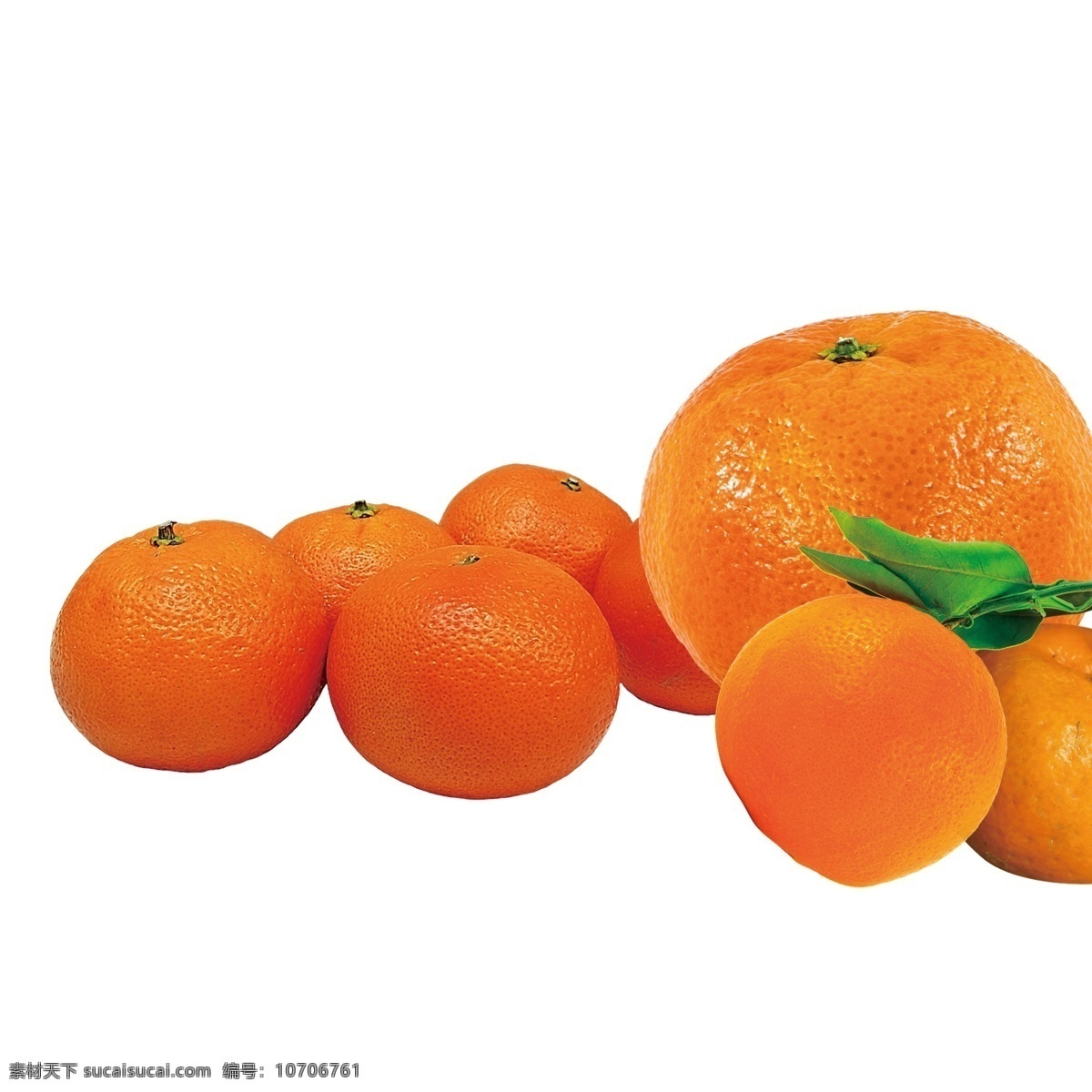 橘子 水果 素材图片 水果素材 水果包装 透明背景素材