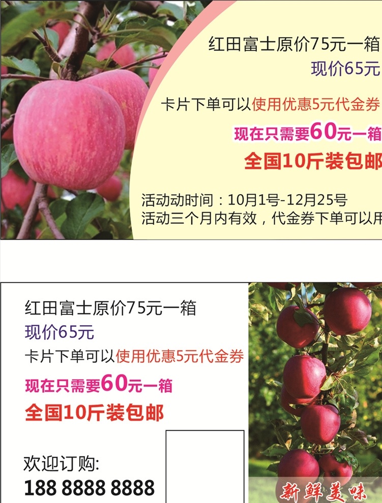 红富士 苹果 名片 卡片 红富士苹果 苹果名片 模版 传单