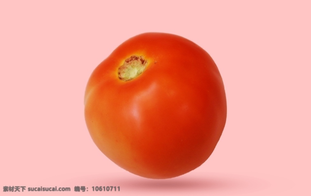 红彤彤 西红柿 红彤彤西红柿 番茄 有机蔬菜 绿色蔬菜 农产品 生态农业 生物世界 蔬菜