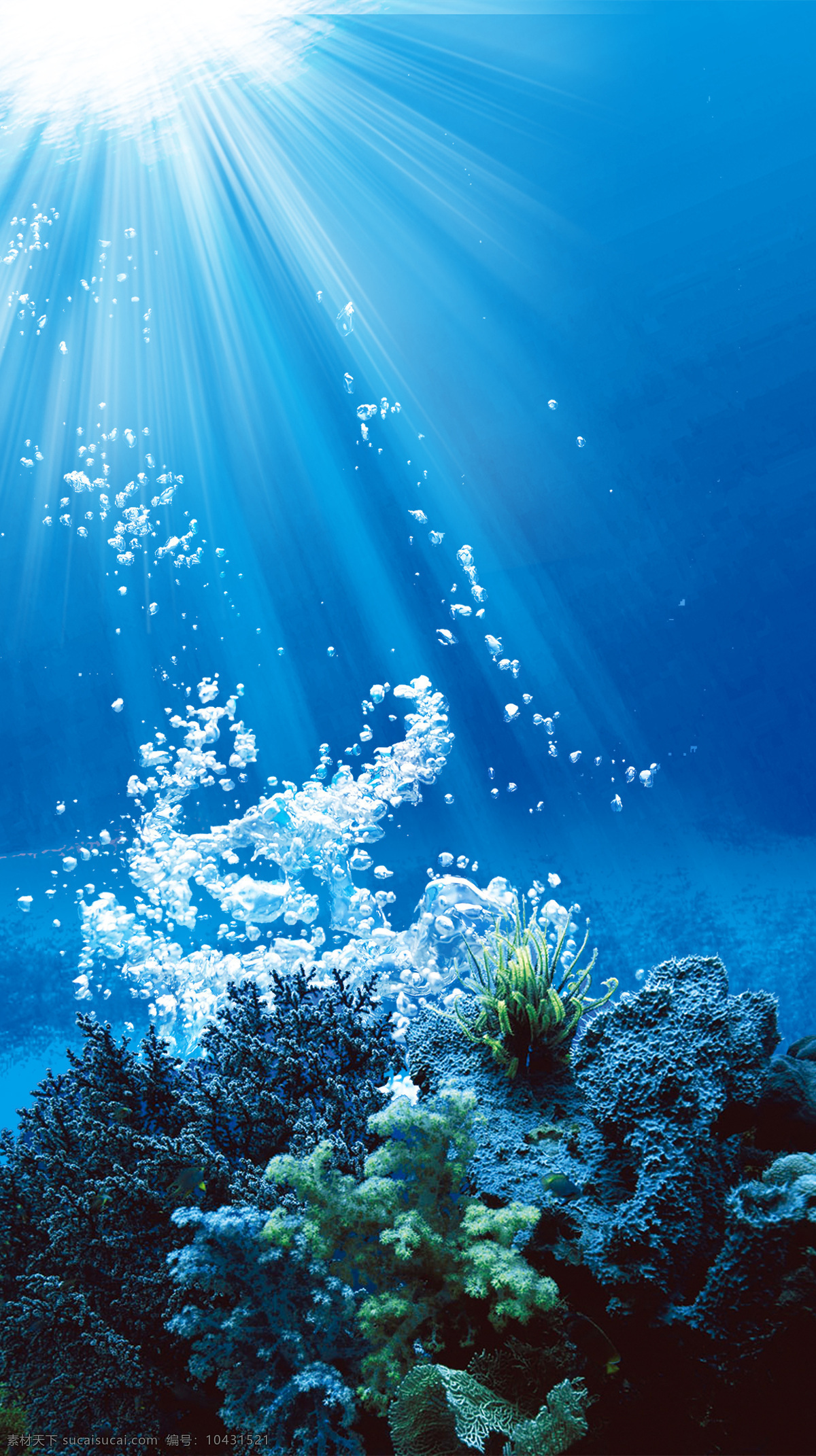 唯美 蓝色 珊瑚 h5 背景 蓝色大海 海底 h 5背景