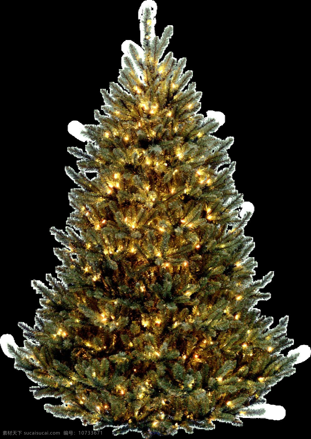 美丽 圣诞树 透明 免扣 抠图专用 装饰 设计素材 淘宝素材 海报设计装饰 装饰图案