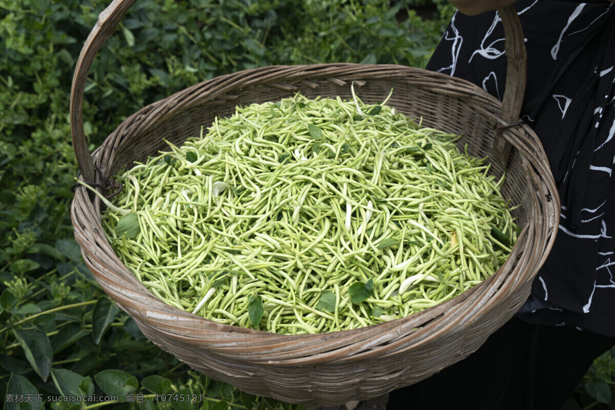 金銀花 茶葉 高清 照片 淘寶詳情頁(yè) 淘寶裝修 淘寶店鋪 設(shè)計(jì)海報(bào) 農(nóng)產(chǎn)品 拼多多 京東 茶水飲料 餐飲美食 農(nóng)民 農(nóng)村 三農(nóng) 采摘 采茶 制茶 品茶 茶藝 商超產(chǎn)品 茶藝展示 茶葉批發(fā) 農(nóng)產(chǎn)品加工 金銀花茶 綠茶 紅茶 茶飲 降火 消火 清涼 祛熱 茶 茶盤 茶具 茶壺 中藥材 鮮茶 食物原料