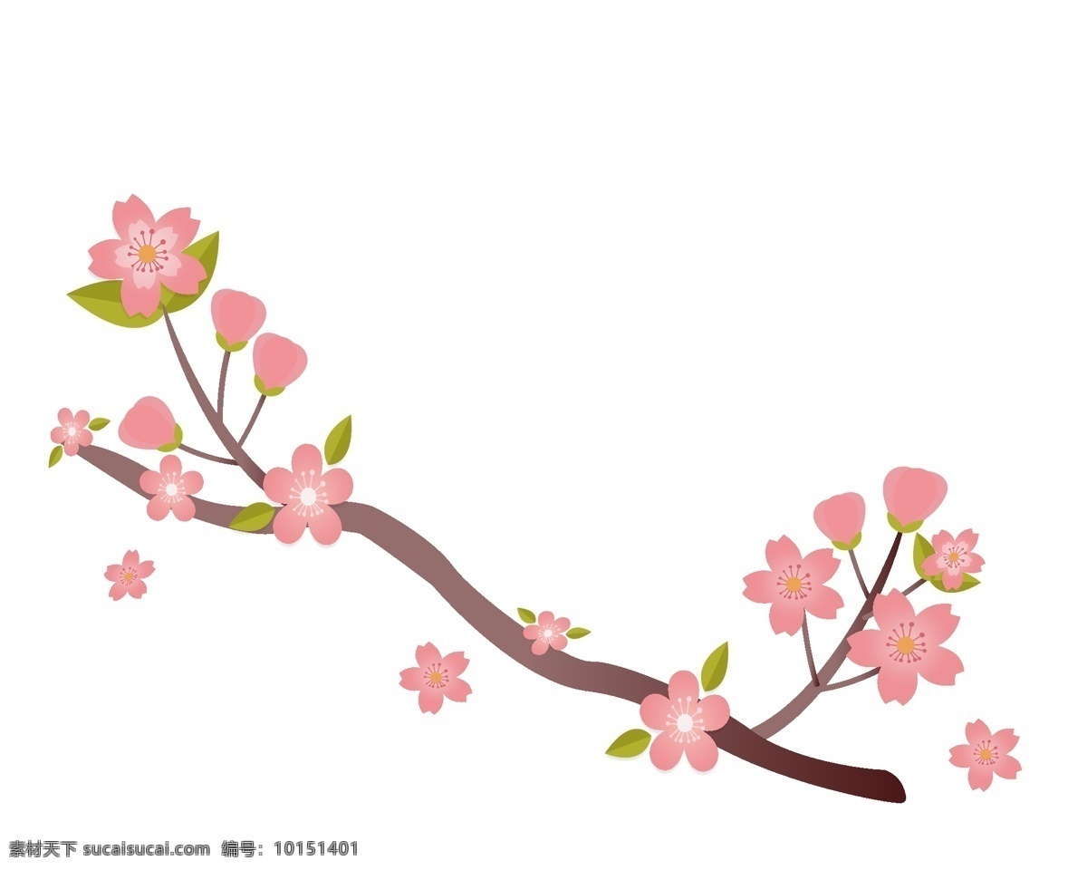 支 樱花 图案 插图 一枝樱花树 可爱的樱花树 盛开的樱花树 春天的樱花树 绿色叶子 植物插图 简约的插画