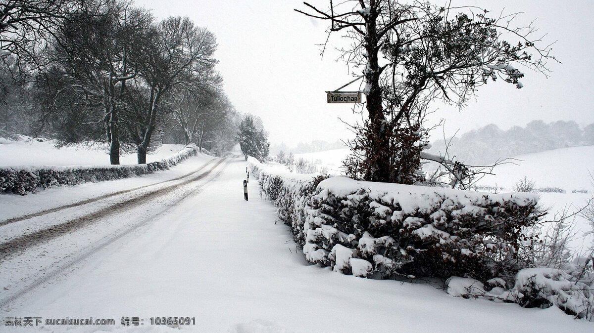 公路雪景 公路 雪景 樹木 灰色