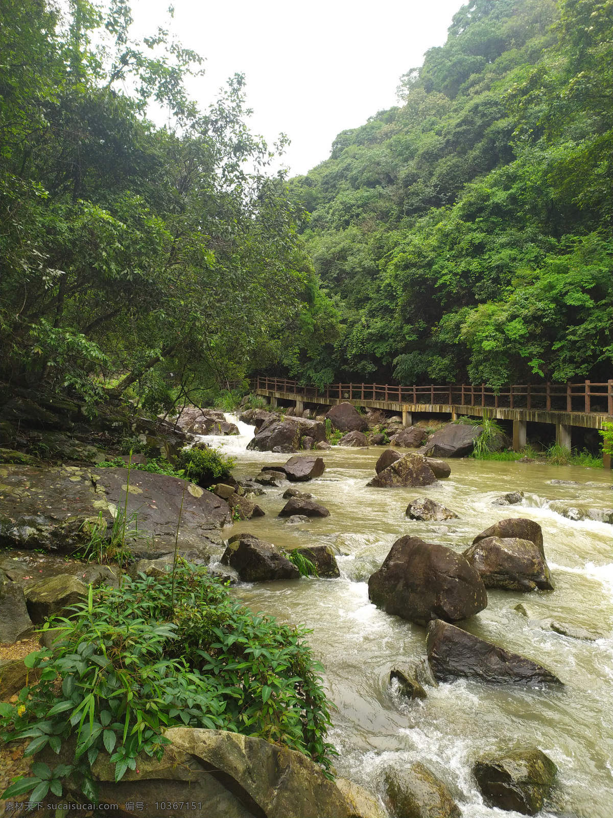 小桥流水 小桥 流水 树木 石头 峡谷 自然景观 山水风景
