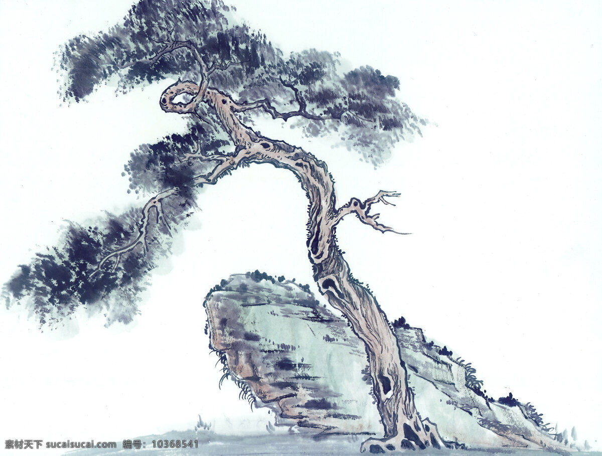 奇 樹(shù) 巖石 白描 工筆 國(guó)畫(huà) 花鳥(niǎo) 繪畫(huà) 水墨 文化藝術(shù) 藝術(shù) 中國(guó)畫(huà) 裝飾 奇樹(shù)巖石 裝飾素材 室內(nèi)裝飾用圖