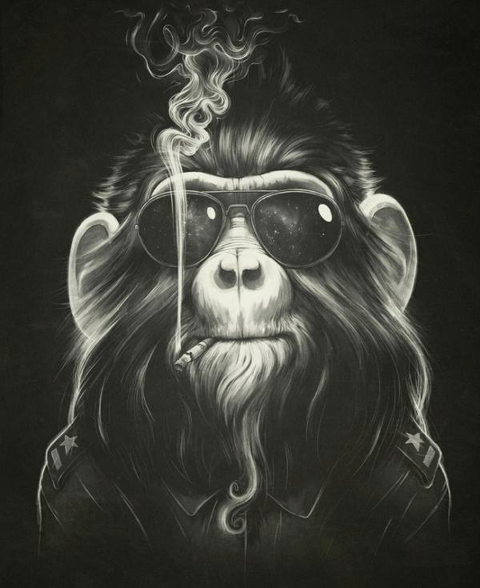 位圖免費(fèi)下載 插畫(huà) 動(dòng)物 服裝圖案 墨鏡 位圖 猩猩 面料圖庫(kù) 服裝設(shè)計(jì) 圖案花型