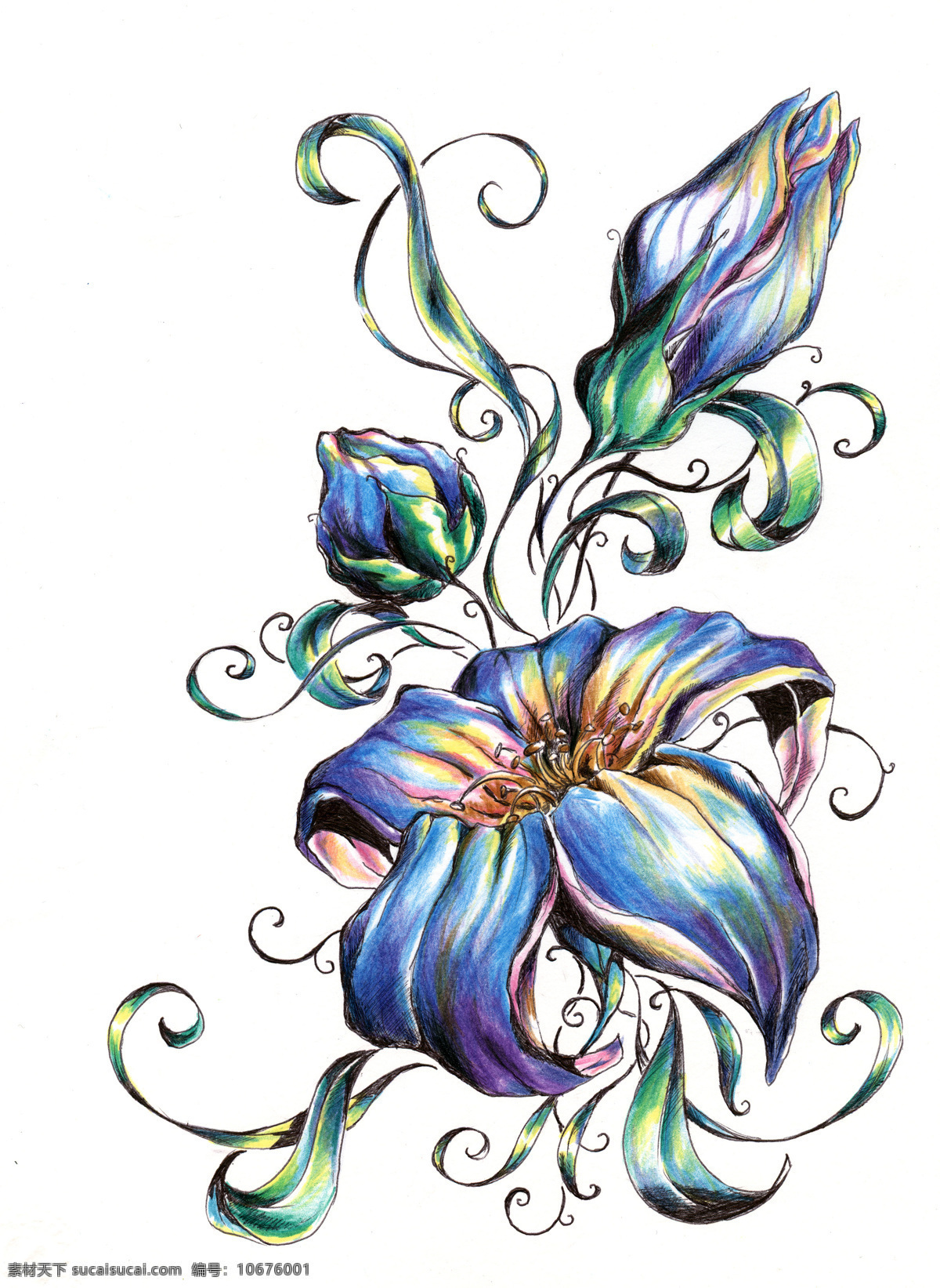 时尚 水彩 手绘 花朵 花卉