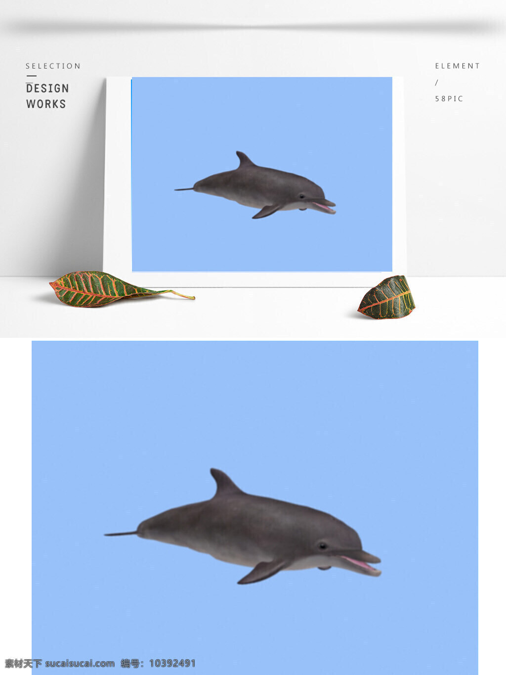 海洋 海豚 3d 模型