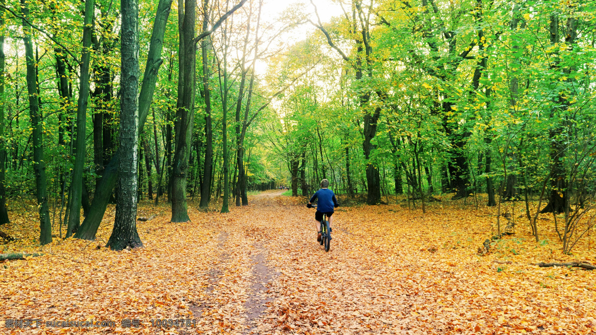 景观 大自然 森林 秋天 绿色 清新 男人 人 自行车 同时也能 叶子 干 生锈 下 树 唯美图片 唯美壁纸 壁纸图片 桌面壁纸 壁纸 背景素材 手机壁纸 创意 自然景观 自然风景