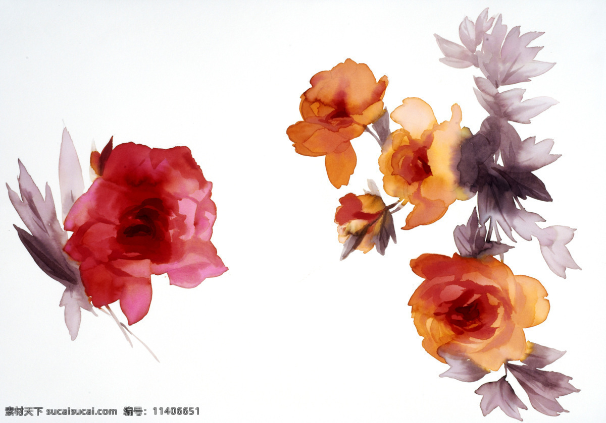时尚 水彩 手绘 花朵 花卉