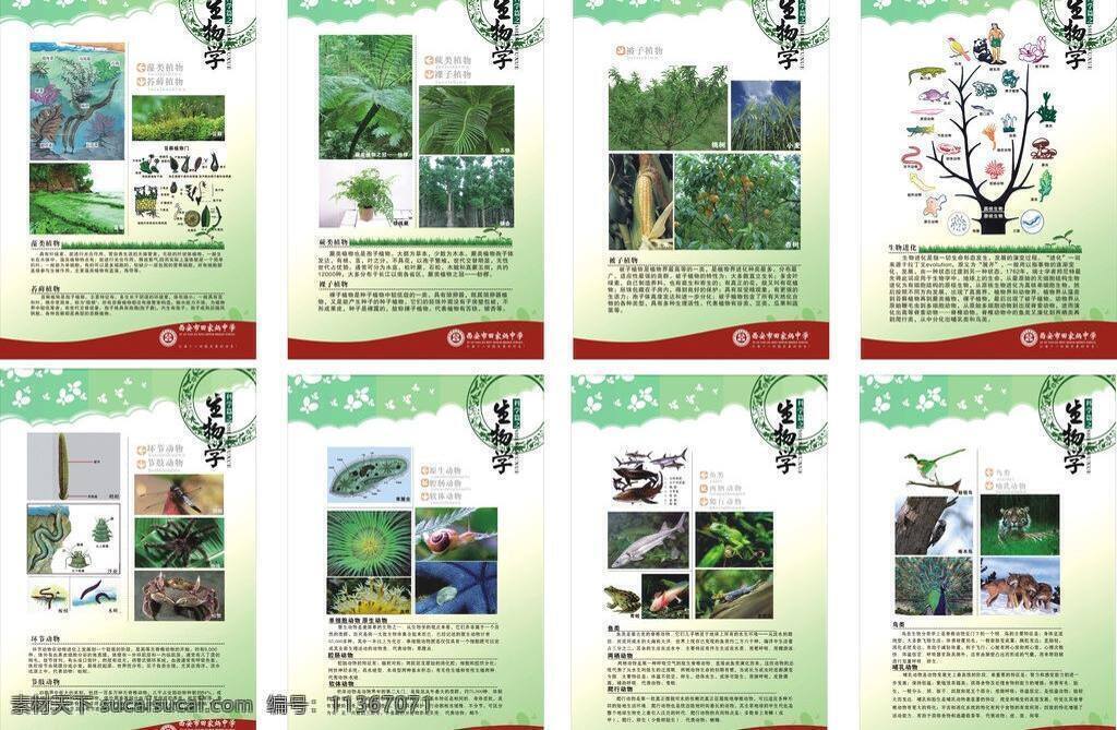 鳥類 魚類 展板模板 生物學 被子植物 裸子植物 苔蘚類 藻類 環(huán)節(jié)動物 節(jié)肢動物 原生生物 腔腸生物 爬行生物 哺乳類 兩棲動物 進化論 生物進化 矢量 其他展板設計