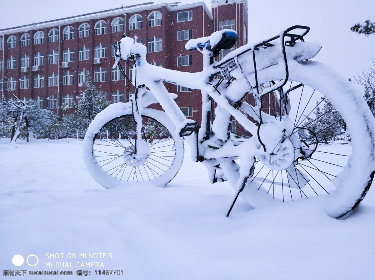 雪地 自行車 雪地自行車 下雪 自然景觀 自然風(fēng)景