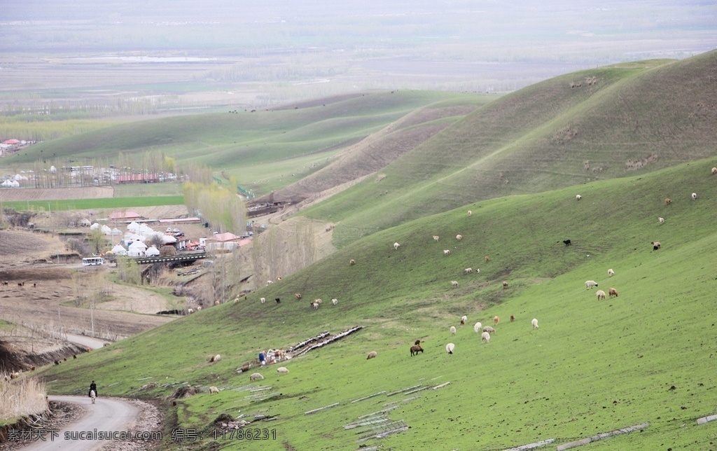 新疆牧场 新疆风景 环境 景观 大自然 草地 羊群 旅游区 美丽 轻松 舒适 自然景观 自然风景