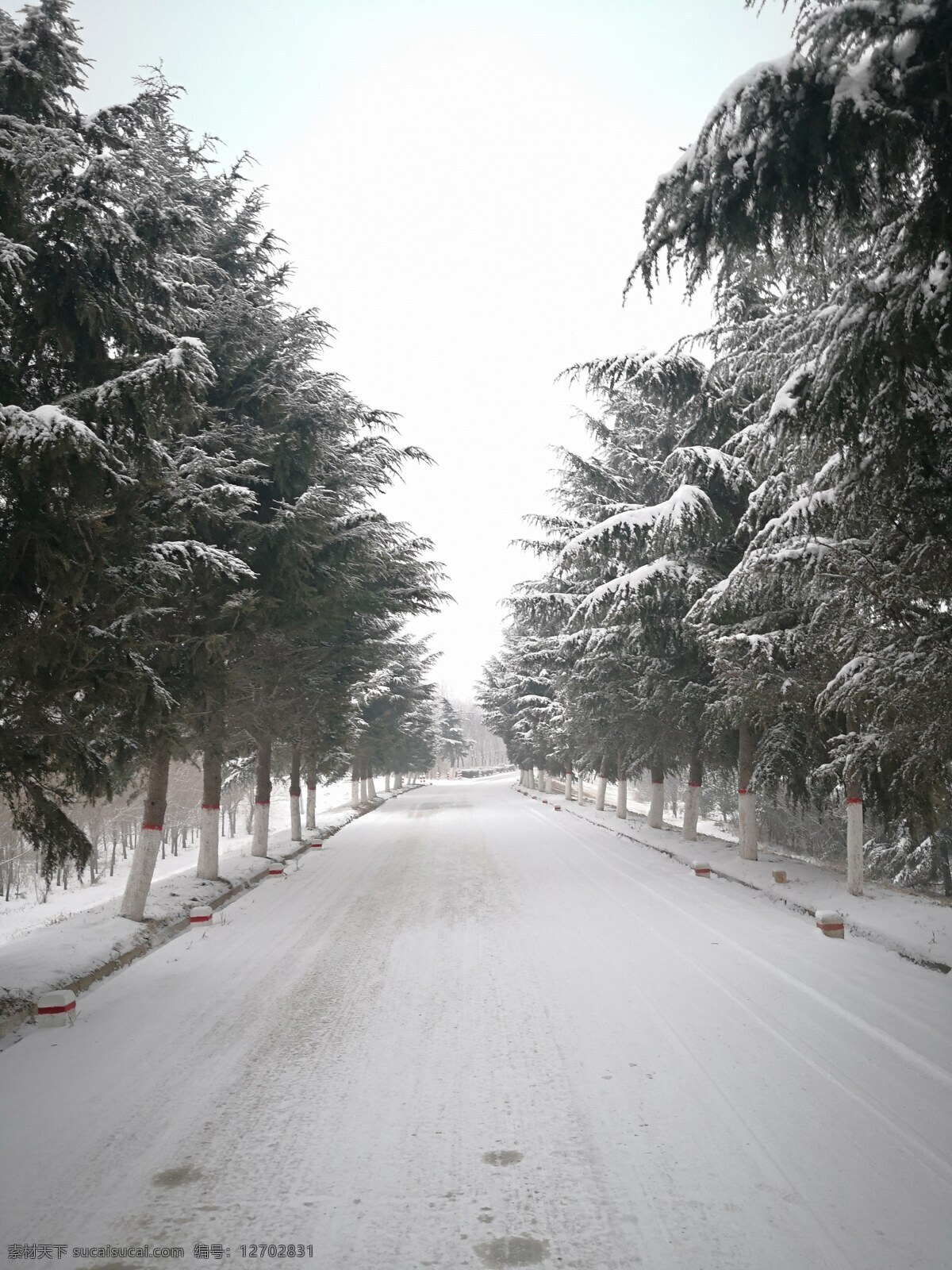 冬季雪景素材 美丽雪景 雪景素材 雪景图片 雪景照片 雪景手机图片 共享图片 自然景观