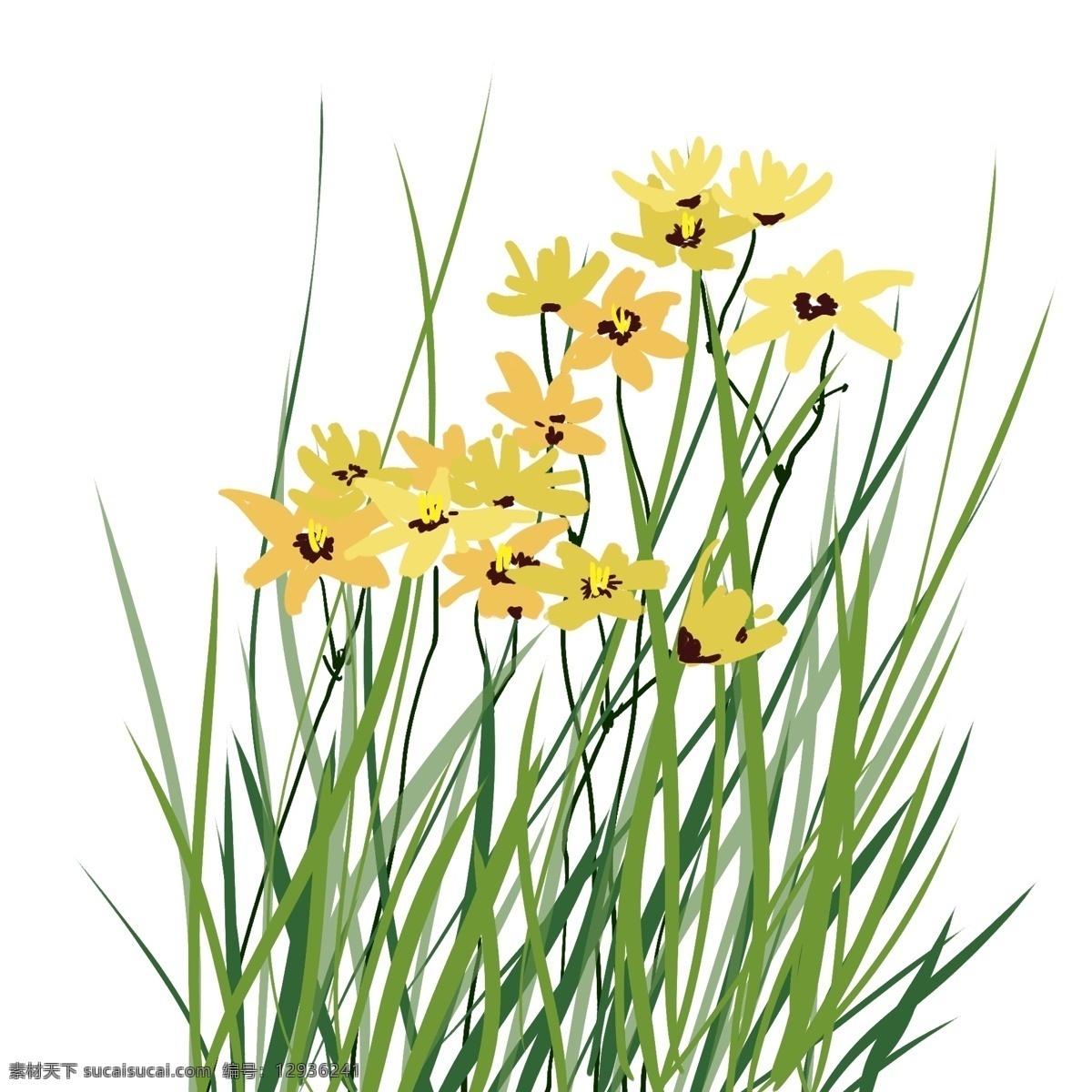 创意 手绘 风 写意 花卉 花草 手绘风 植物 绿植 春天 黄色的花