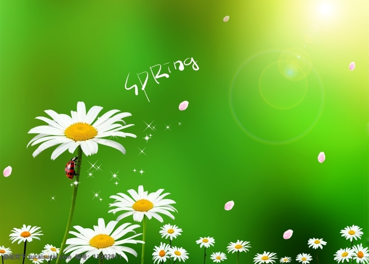 綠色 清新 背景 圖 萌芽 生命 小花 春天 太陽 分層