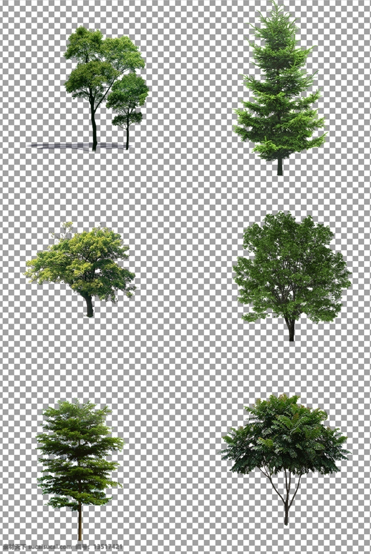 绿色树木图片 绿色 树木 茂盛 大树 茁壮成长 免抠 无背景 免抠图 抠图 元素 透明 通道 png免抠图 分层 花草人物