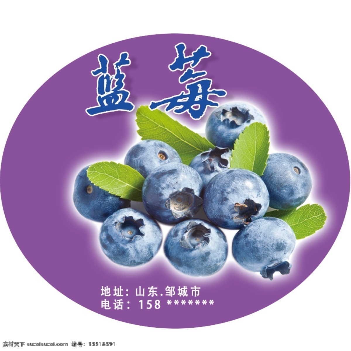 蓝莓图片 蓝莓 蓝莓不干胶 蓝莓包装贴 蓝莓标签 盒装蓝莓贴 工作平面设计