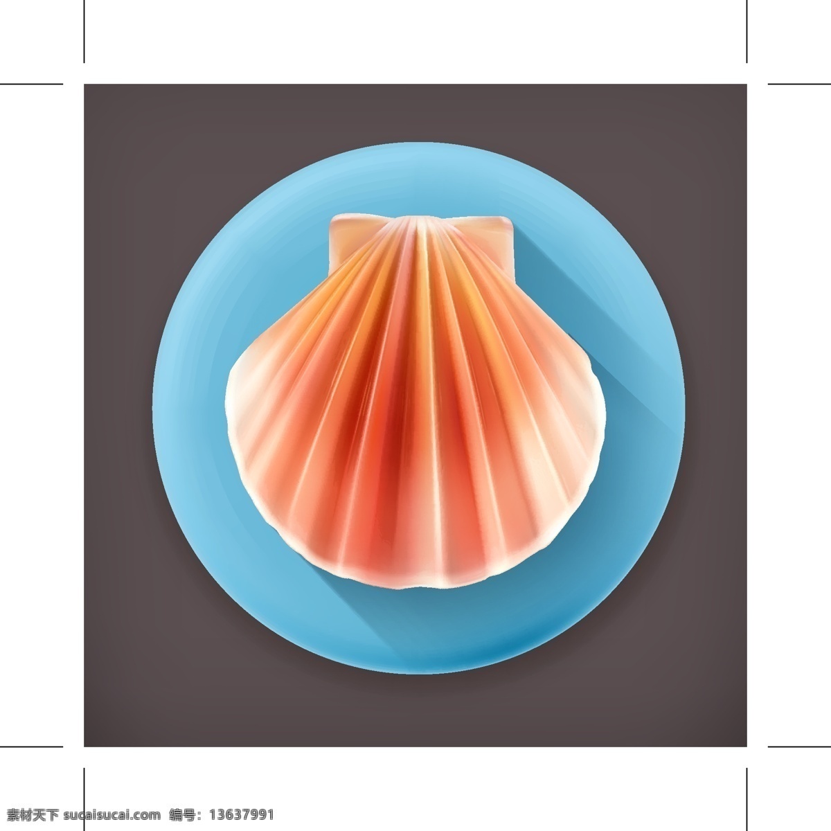 彩色 贝壳 图标素材 卡通 矢量素材 设计素材