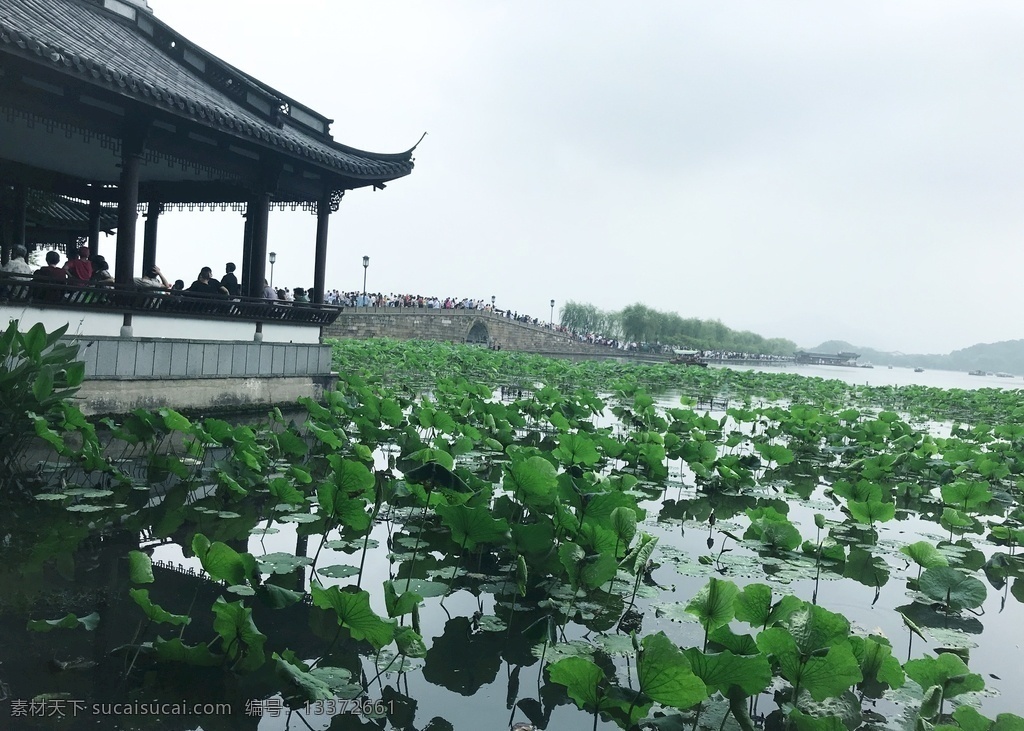 西湖断桥图片 西湖 断桥 西湖风光 西湖断桥 西湖十景 杭州西湖 西湖山水 断桥残雪 西湖旅游 绿色西湖 西湖游船 荷花 西湖风景 杭州西湖风光 旅游摄影 国内旅游