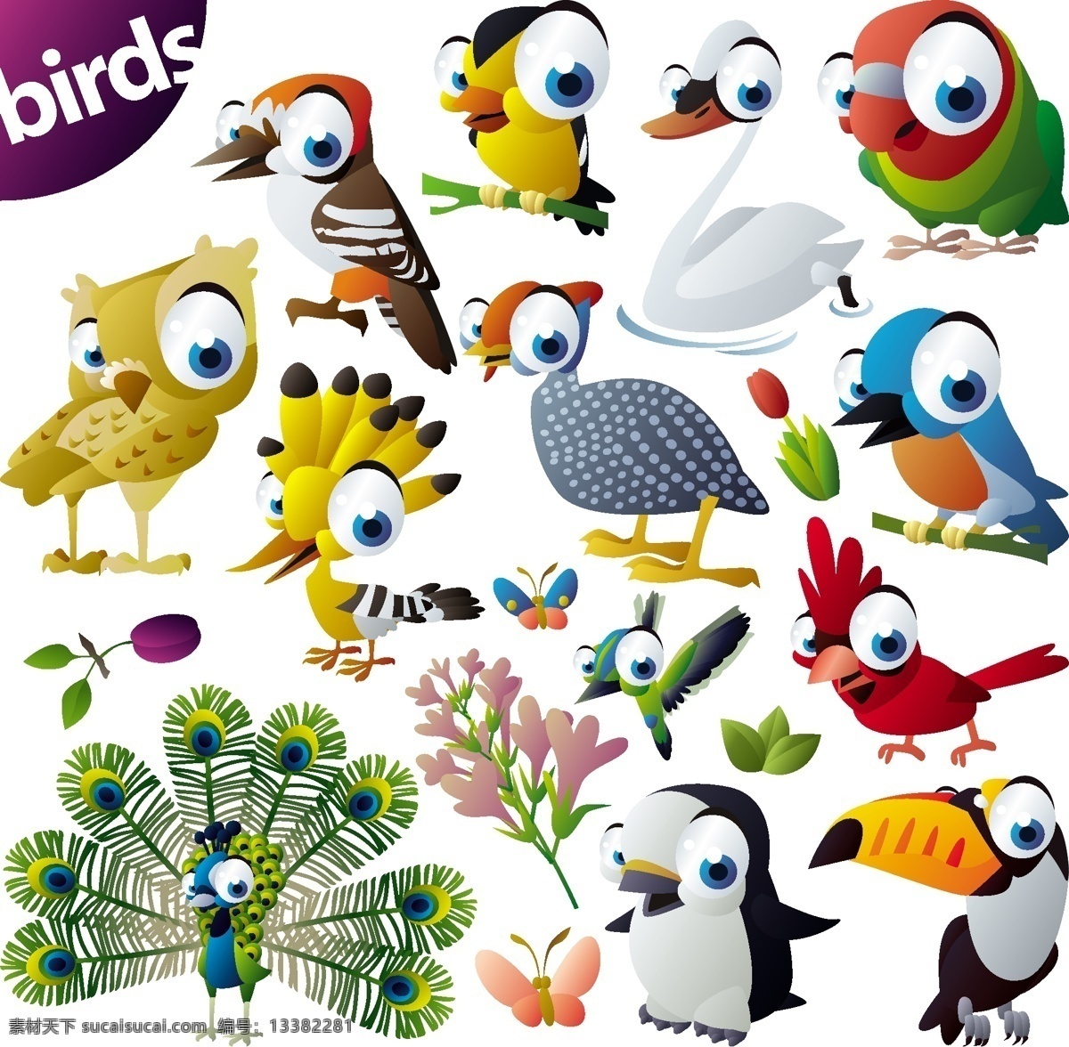各种 可爱 鸟类 矢量图 矢量下载 网页矢量 商业矢量 矢量动植物 白色