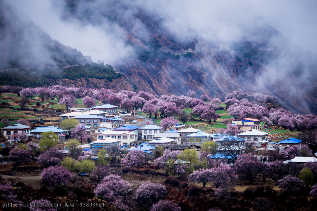 林芝桃花開放 桃花 林芝旅游 西藏旅游 景點 仙境 自然景觀 建筑景觀